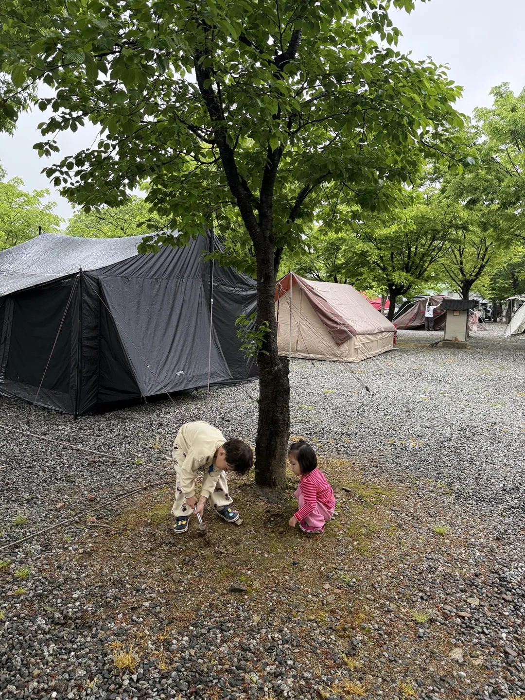 도레미캠핑장