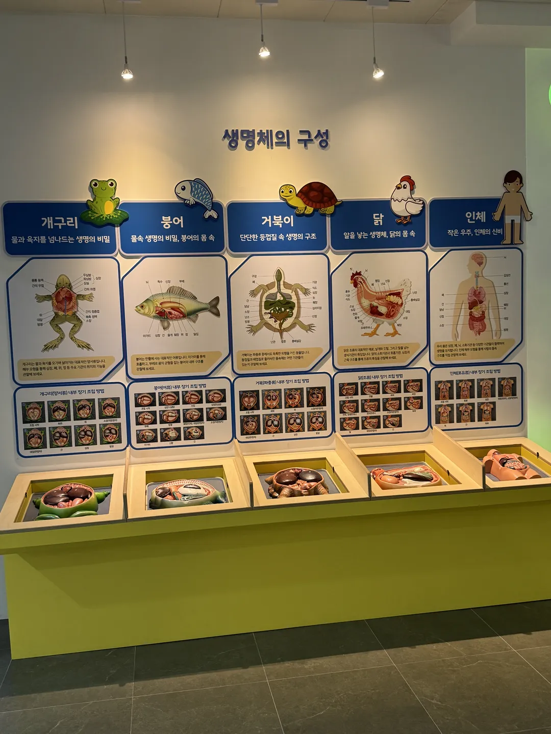 부산광역시교육청창의융합교육원 사진 12