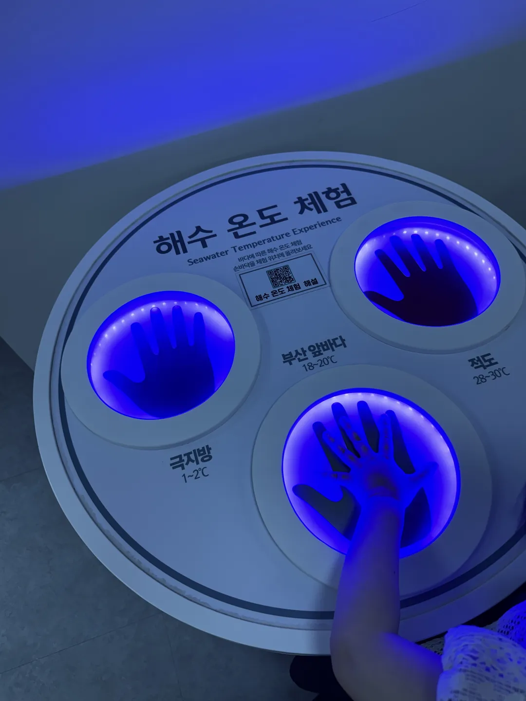 부산광역시교육청창의융합교육원 사진 16
