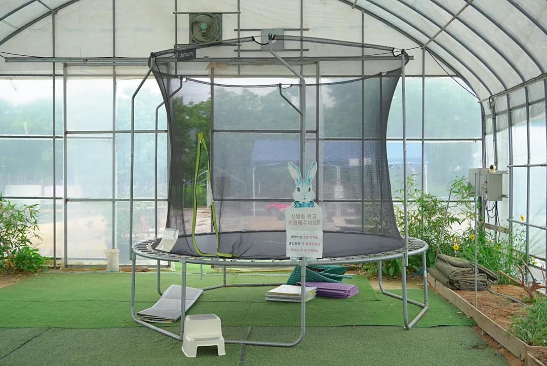 치유농장 뒤란 사진 18