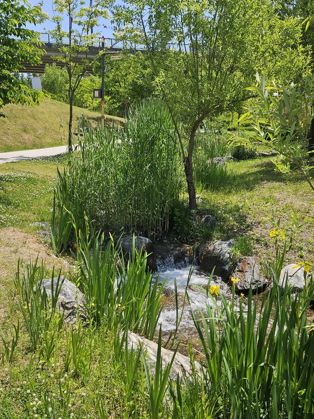 송방천공원 사진 7