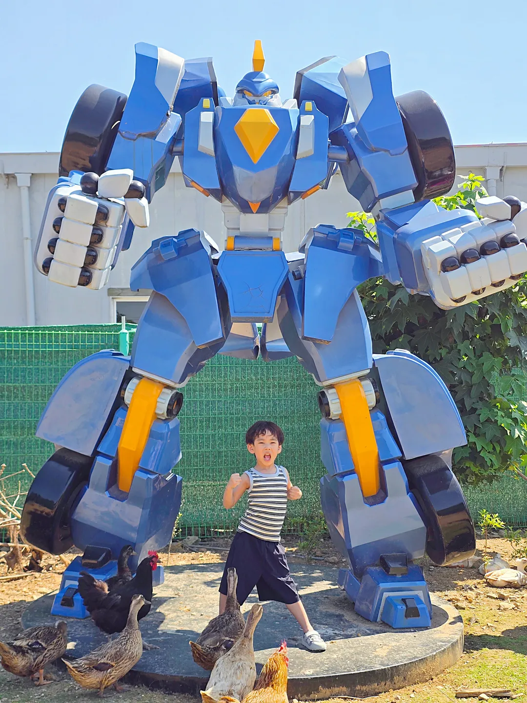꼬꼬체험관 사진 24