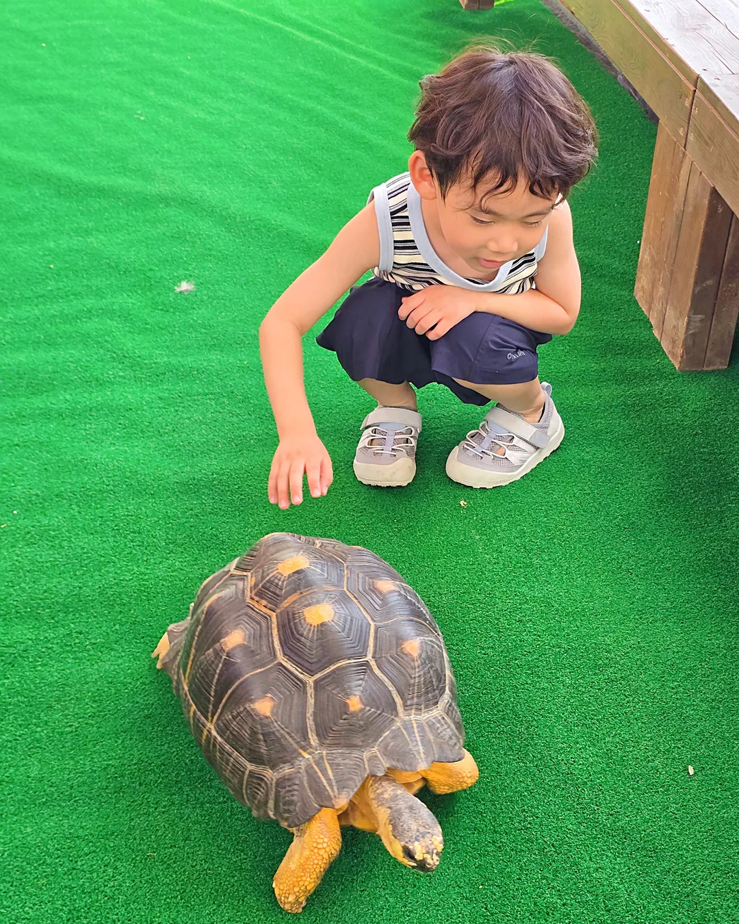 꼬꼬체험관 사진 20