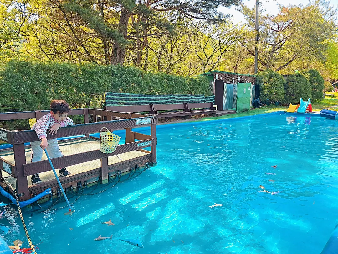 シリミ自然遊び体験場 写真 18