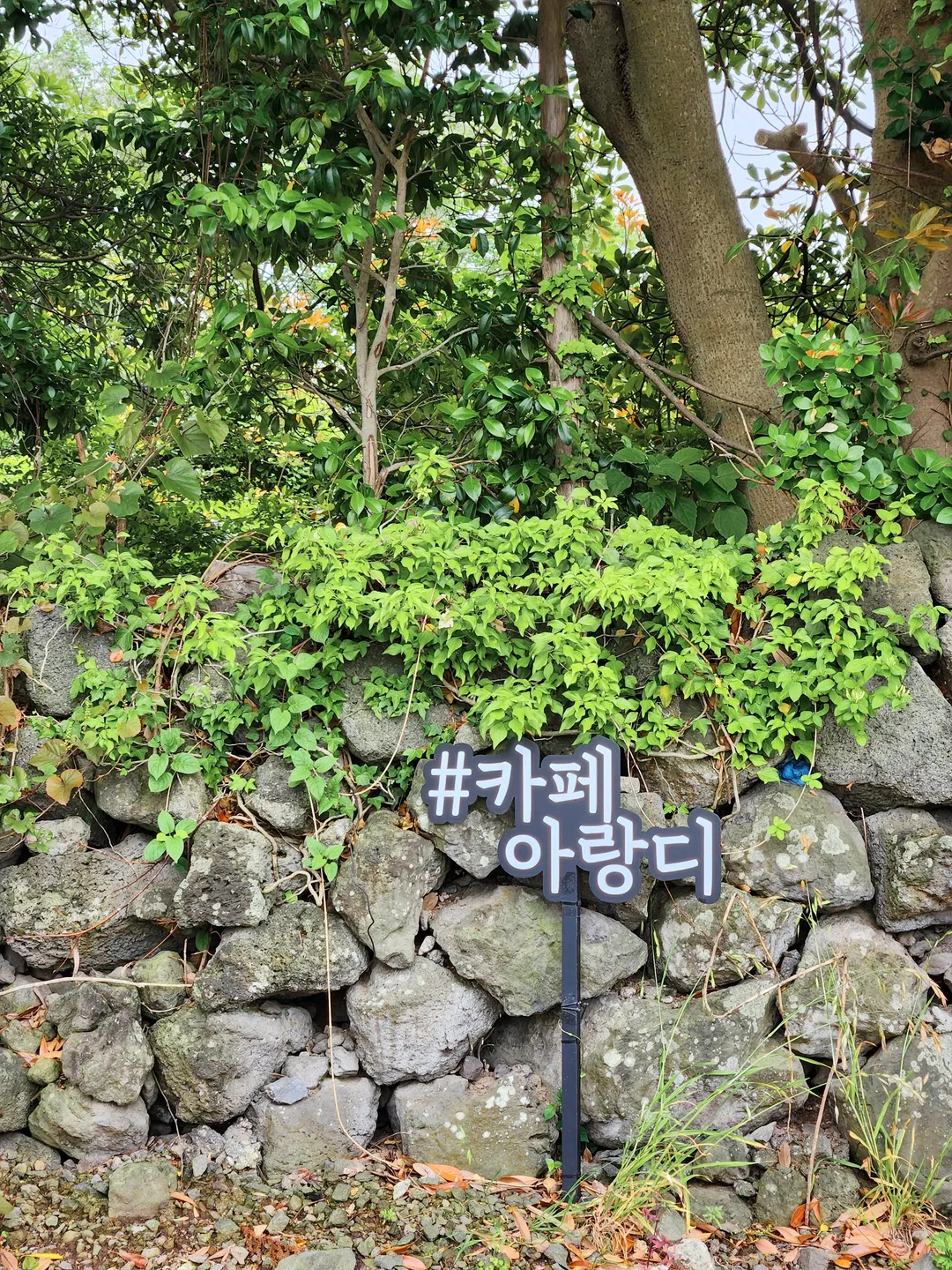 아랑디카페 사진 17