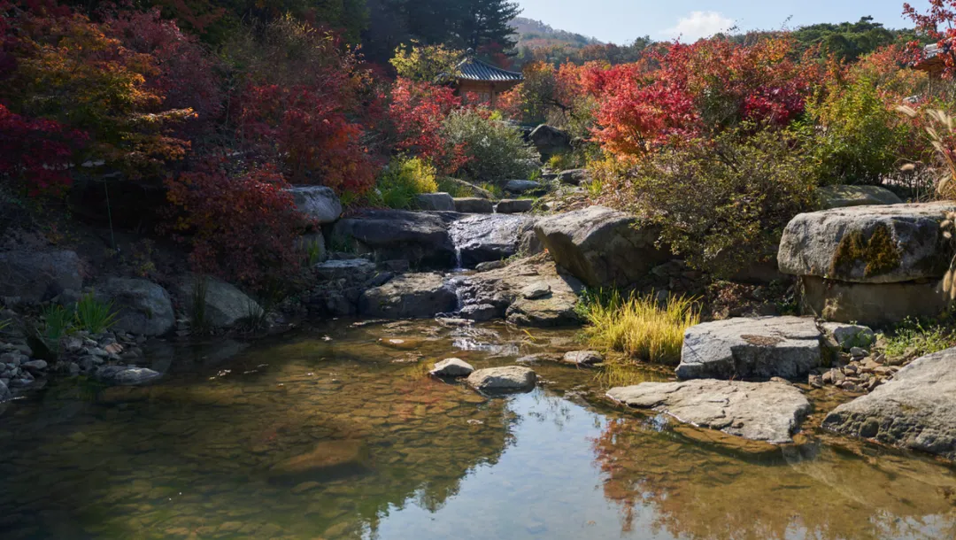 메덩골정원 사진 14