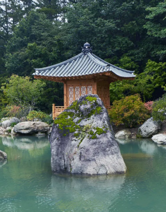 메덩골정원 사진 11