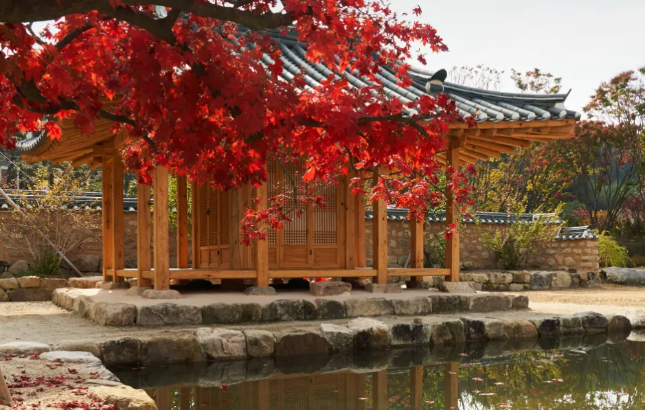 메덩골정원 사진 12