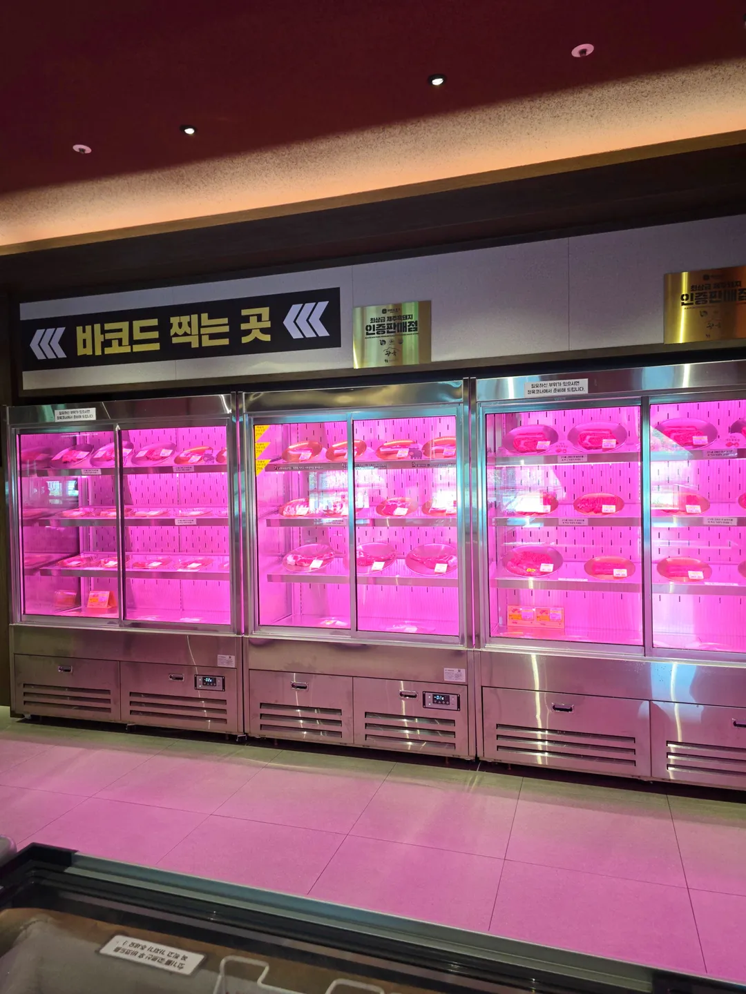 광육 사진 14