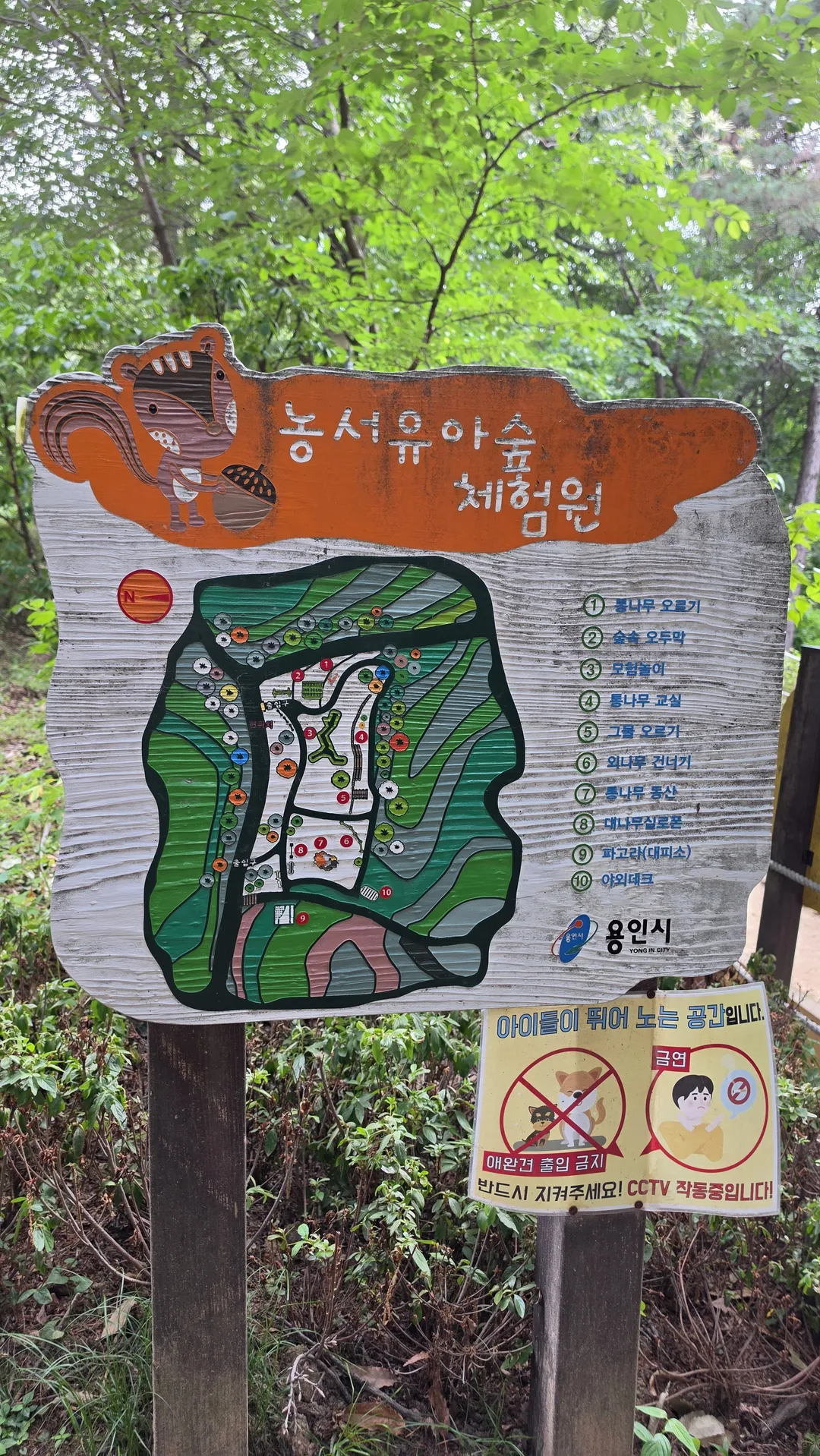 농서유아숲체험원 사진 11