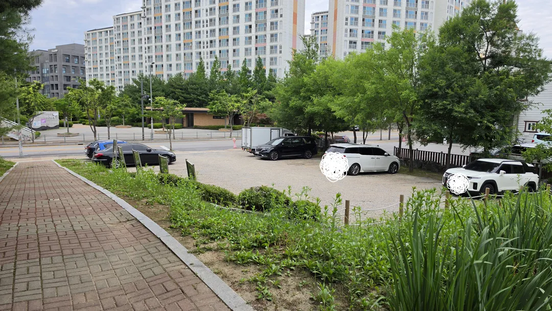 농서유아숲체험원 사진 13