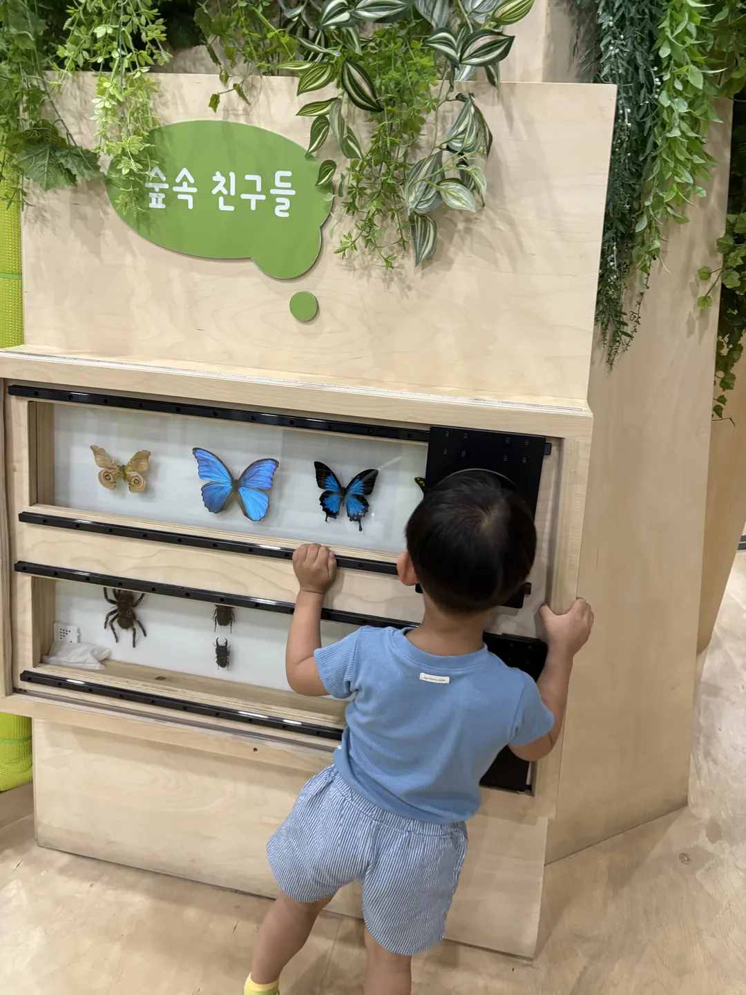 국립과천과학관 사진 24