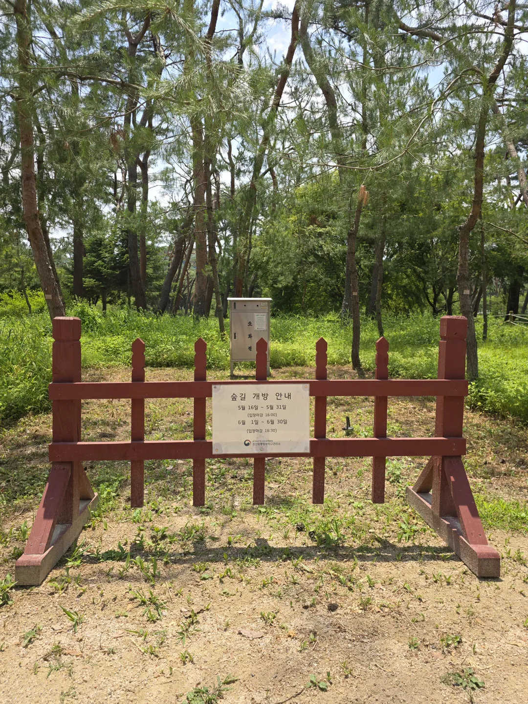 사릉 사진 13