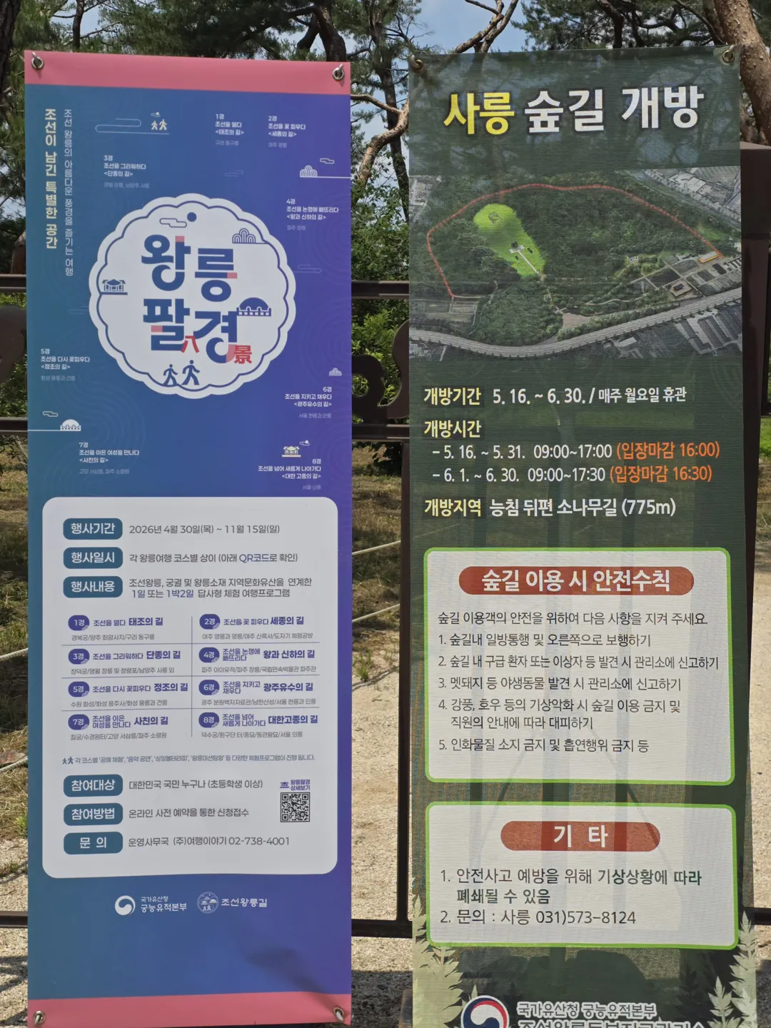 사릉 사진 33