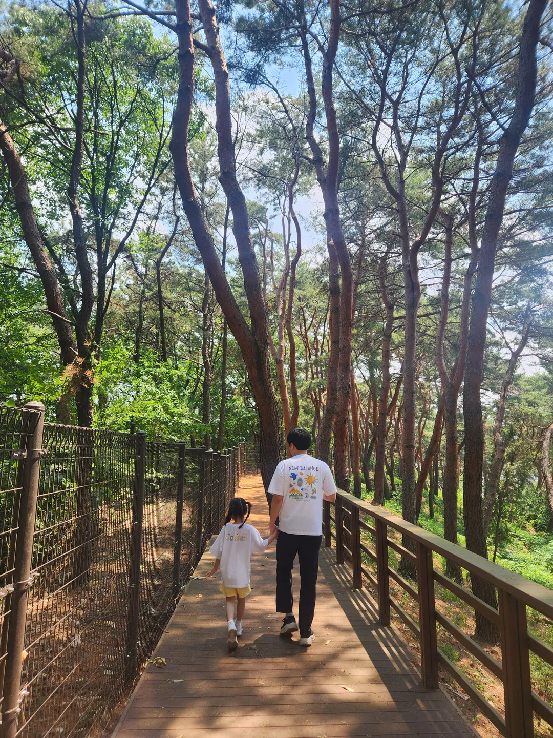 사릉 사진 18