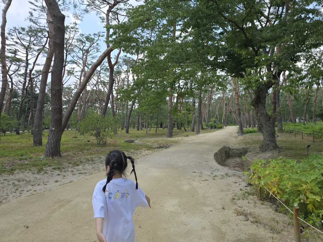 사릉 사진 14