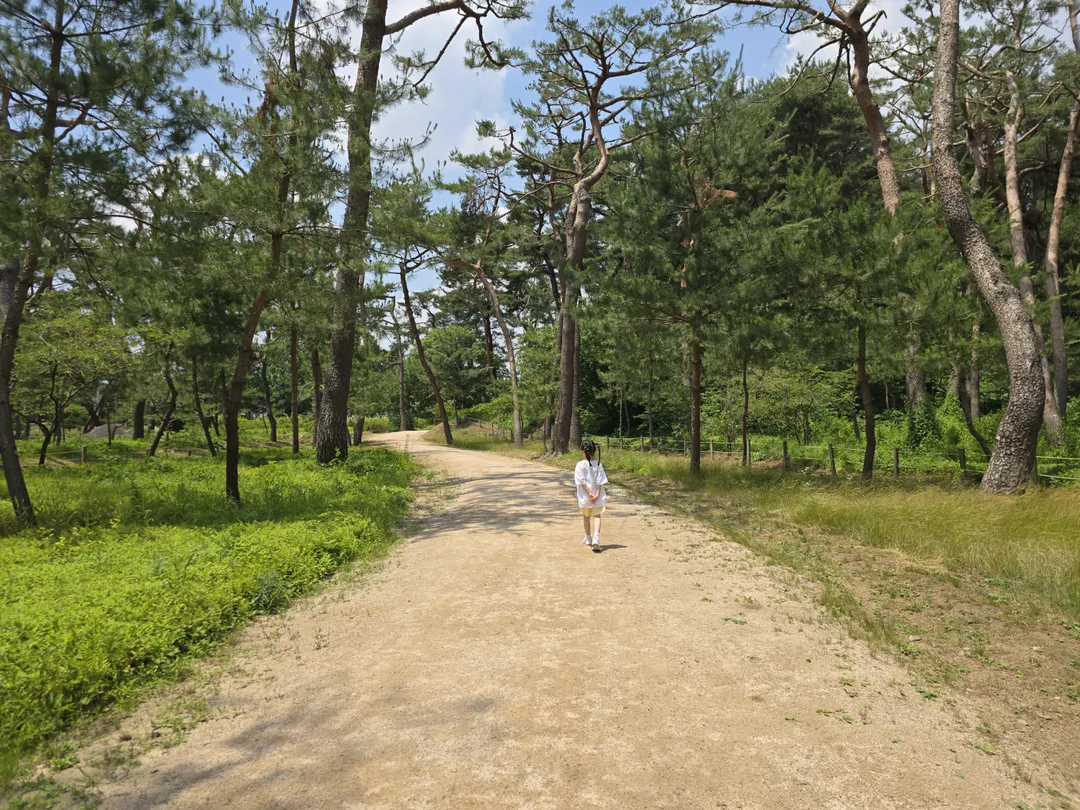 사릉 사진 17