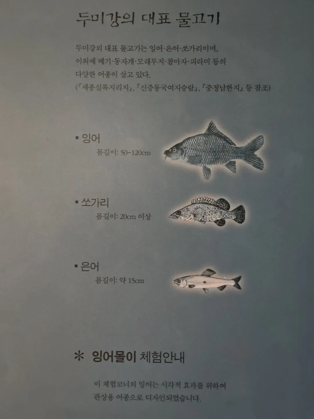 남양주시립박물관 사진 19