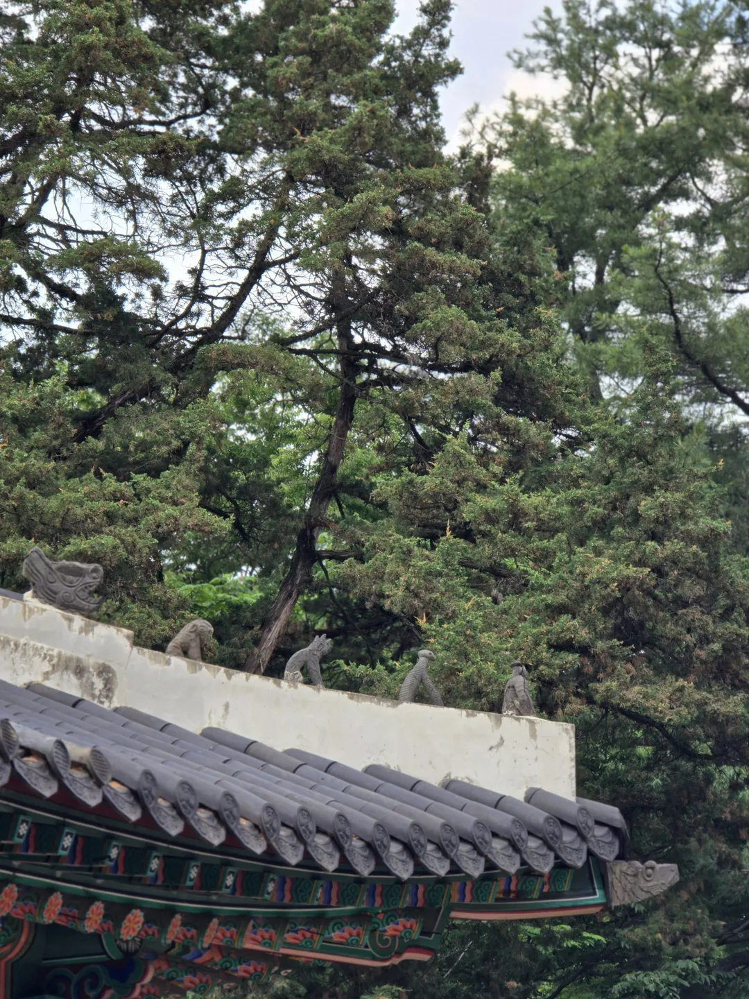 남양주 홍유릉 사진 33