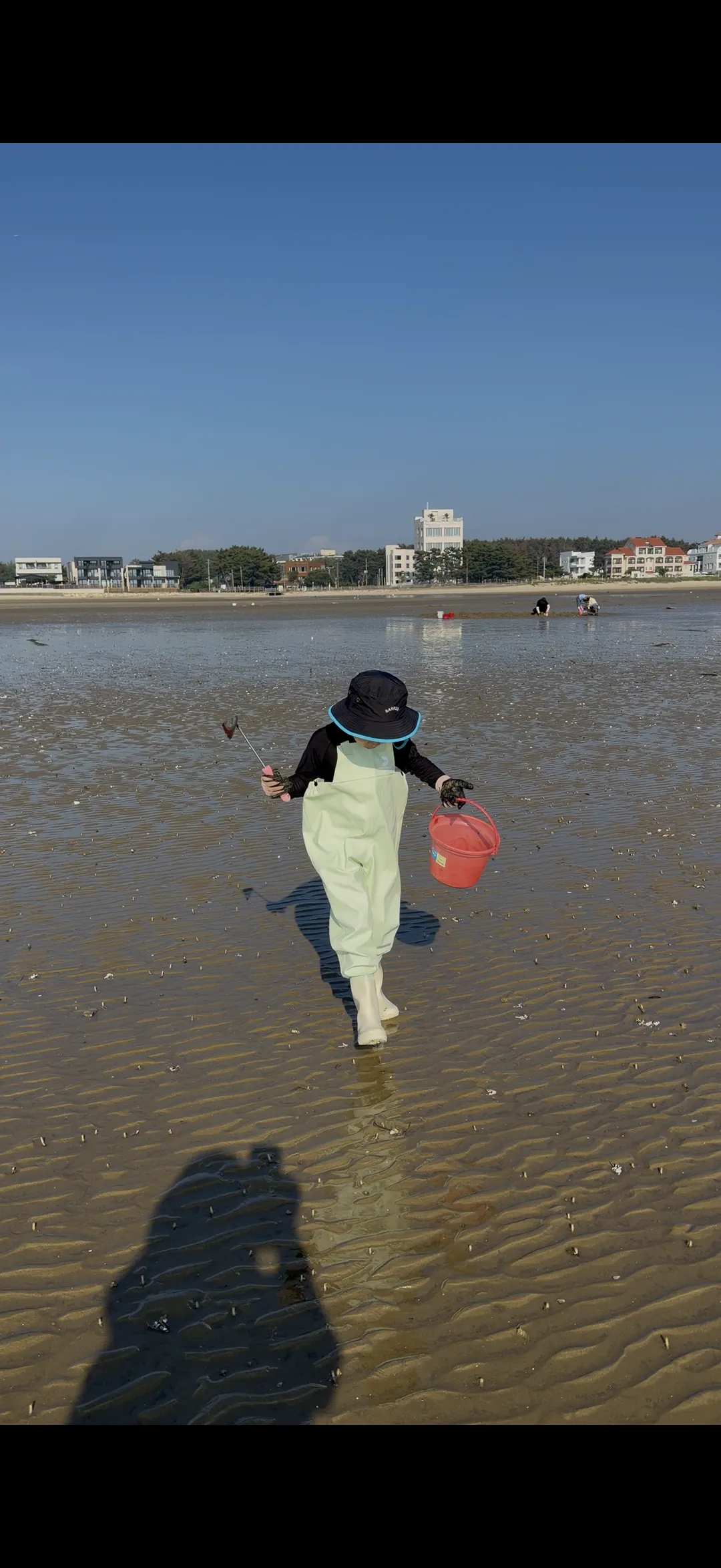 청포대해수욕장