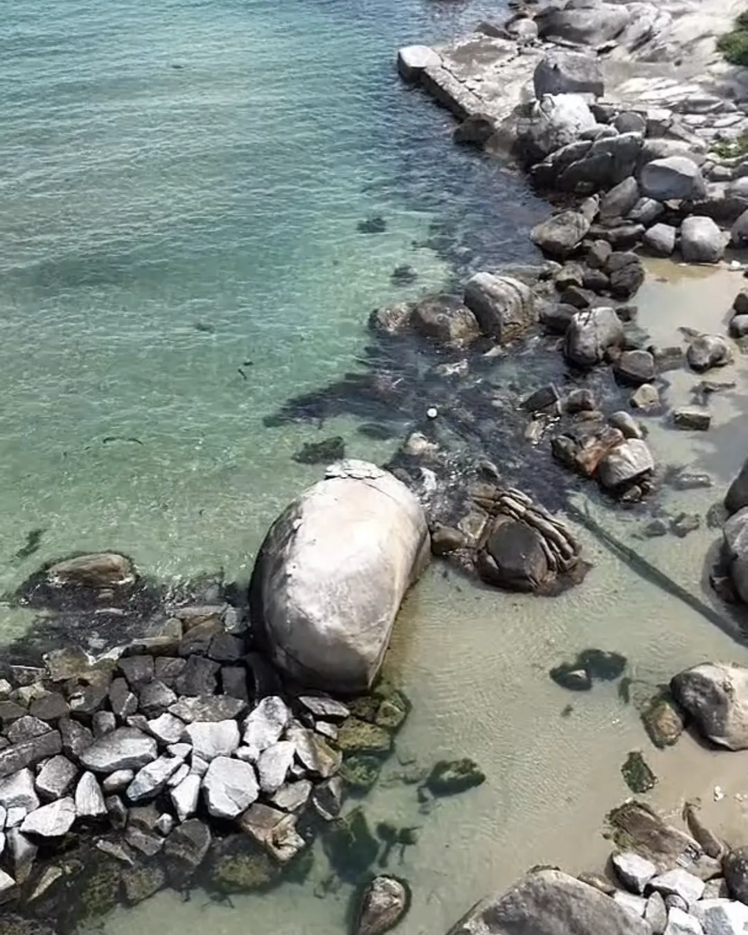 Jukdo Beach photo 9