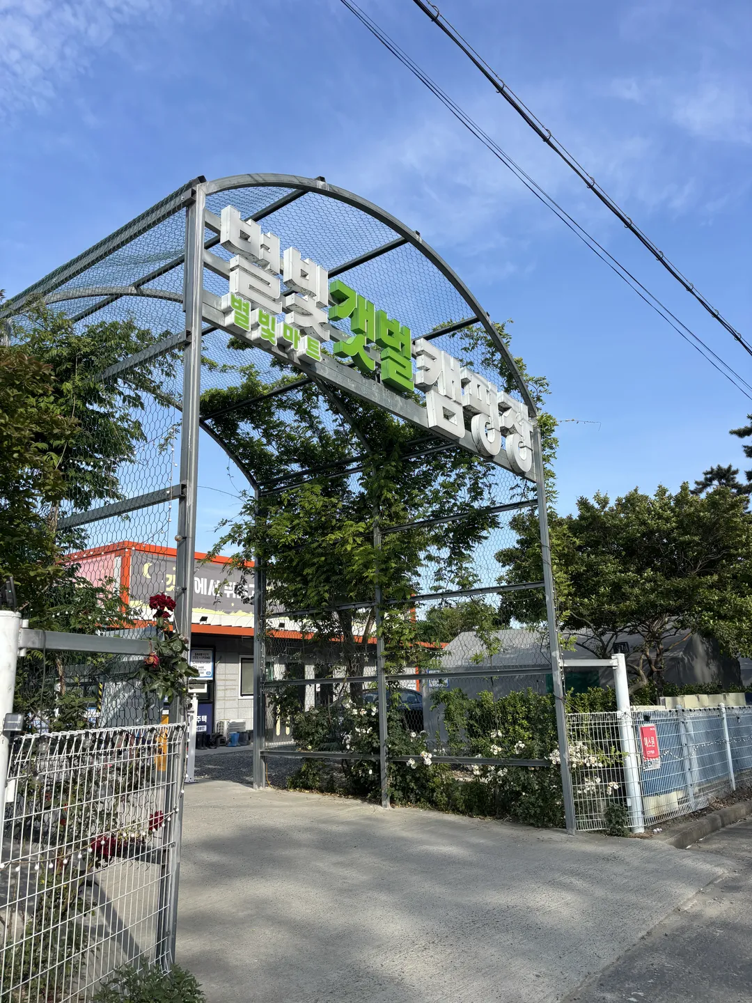 별빛갯벌캠핑장 사진 19