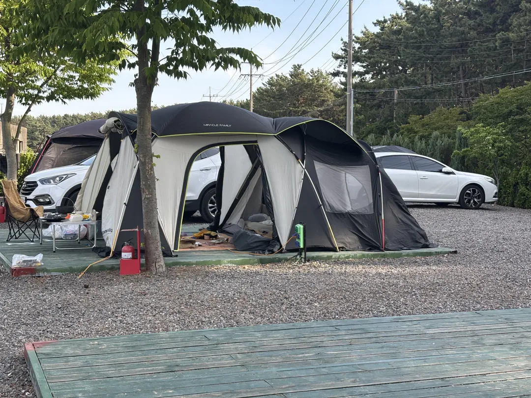 별빛갯벌캠핑장 사진 6