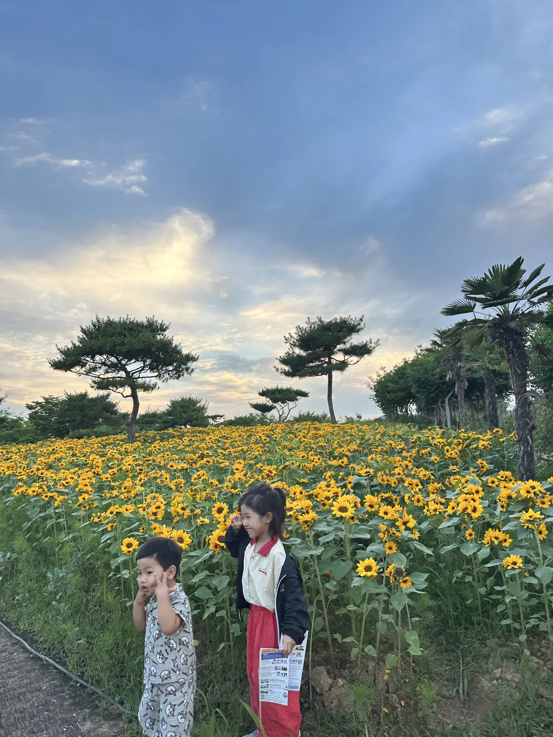 회산 백련지