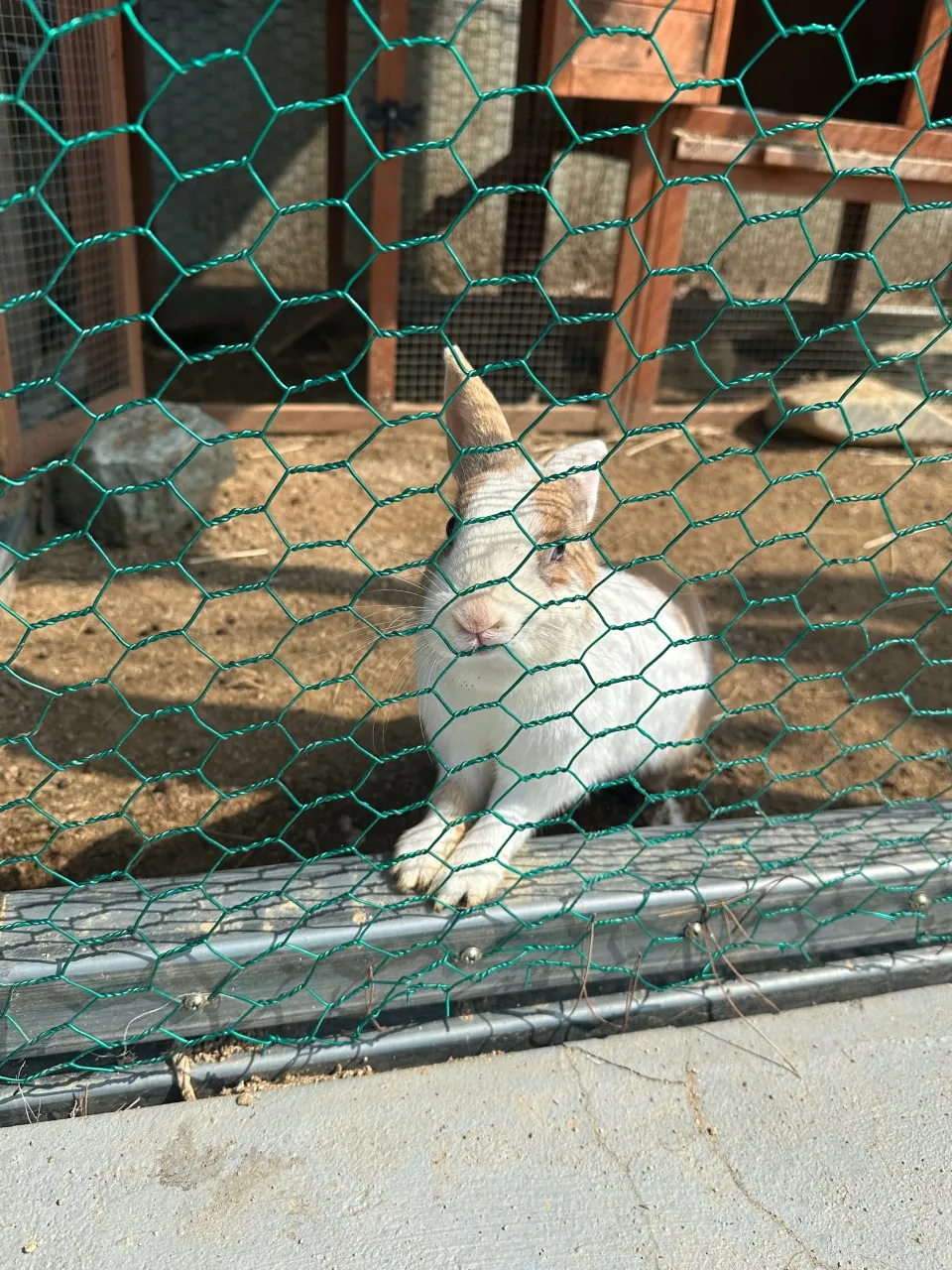 황제해신탕 사진 7