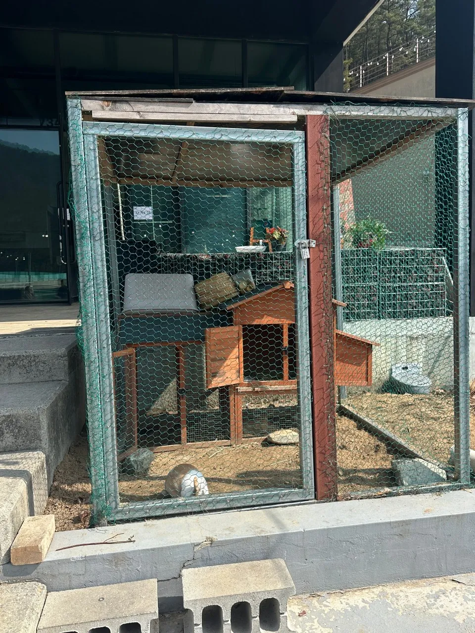 황제해신탕 사진 6