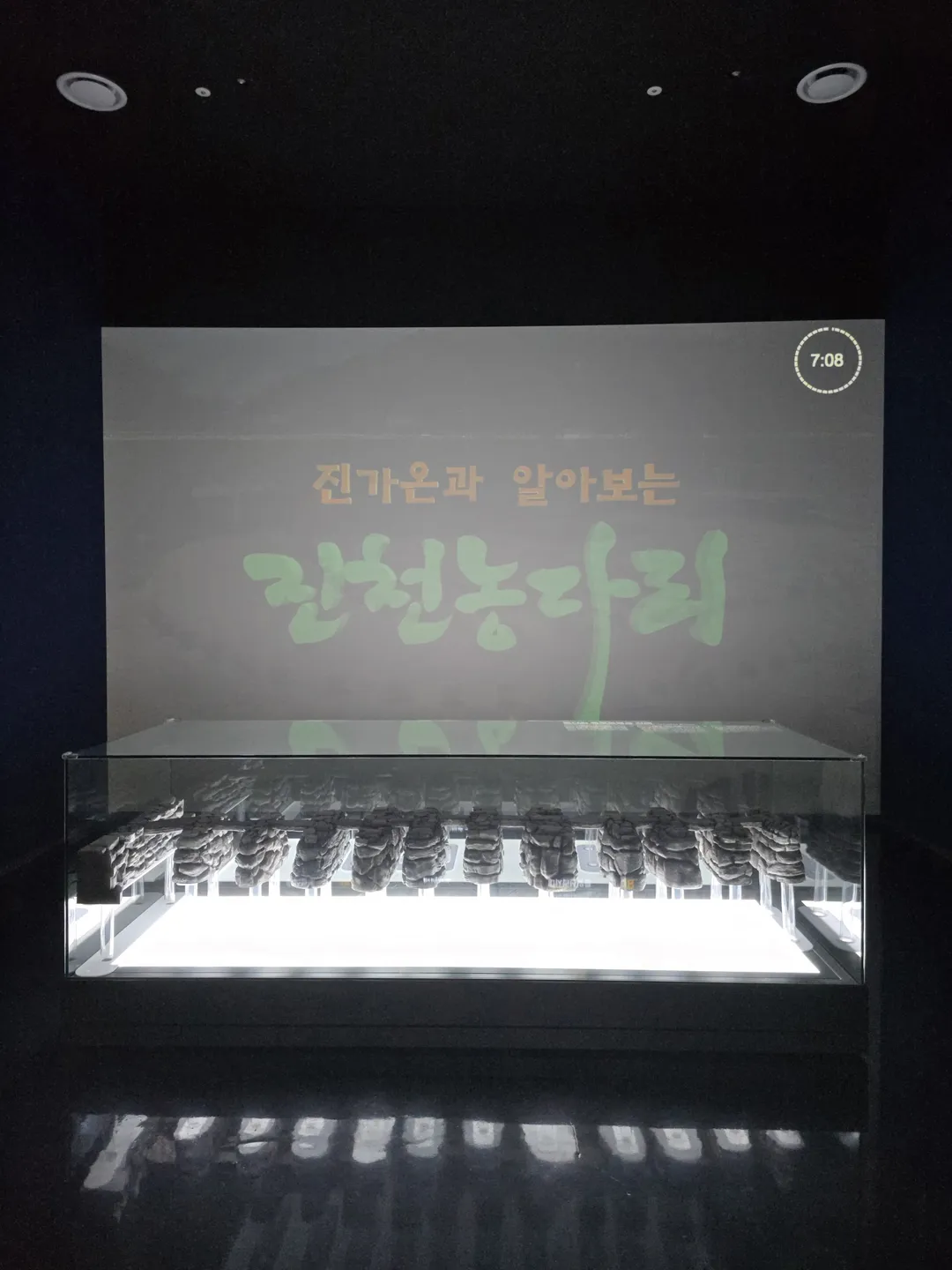 농다리스토리움 사진 11