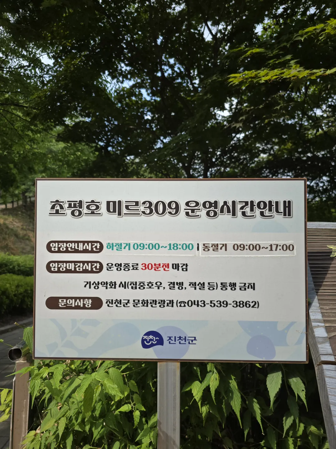 초평호 미르309 출렁다리