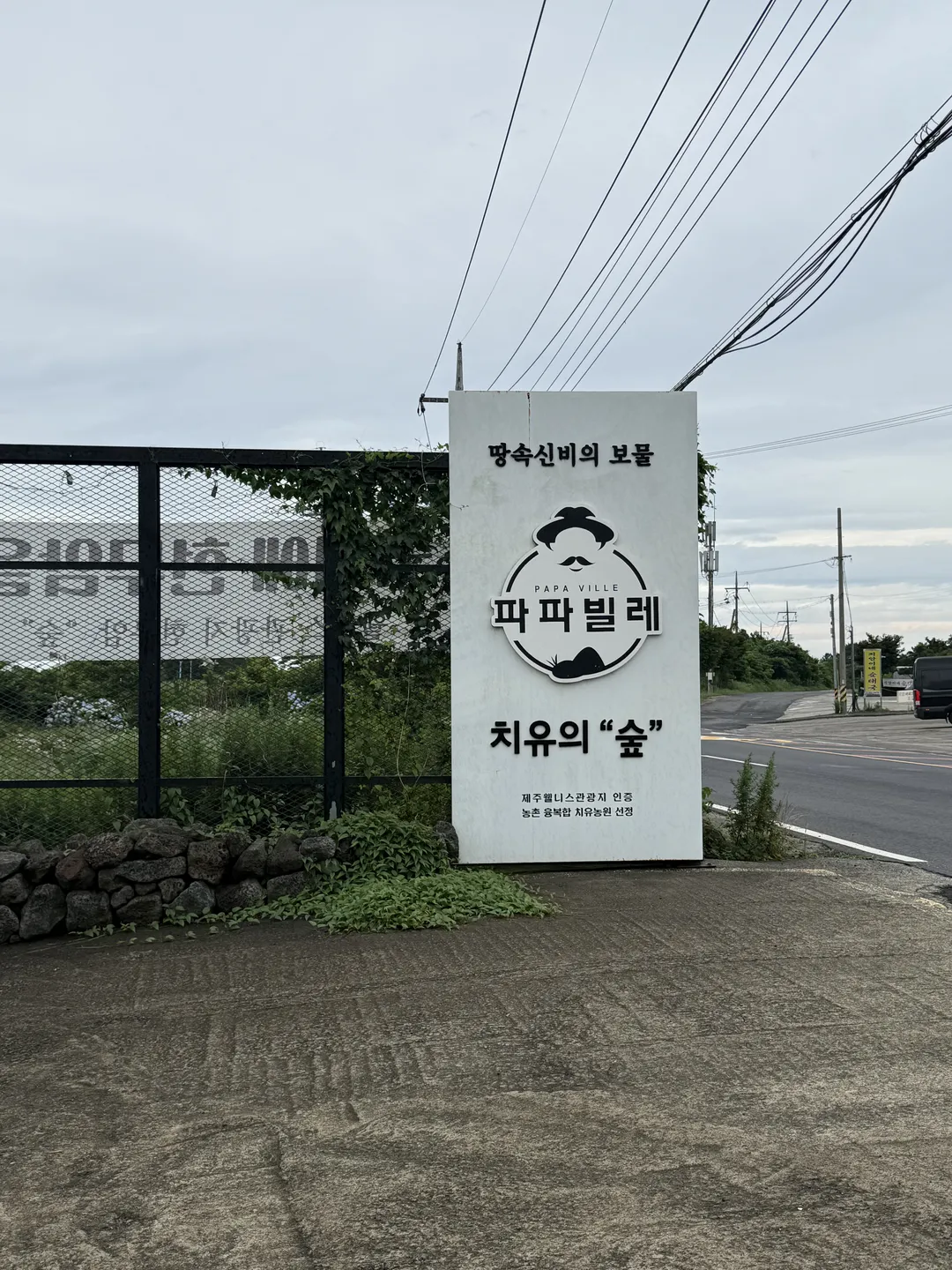 파파빌레 사진 10