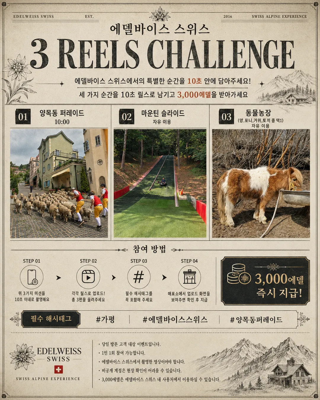 에델바이스 스위스 사진 14