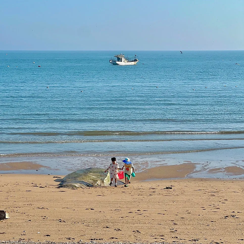 신안횟집 사진 6