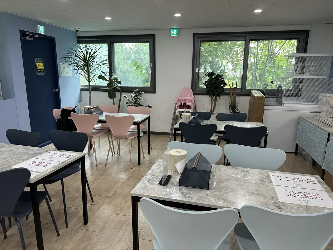 Bird Sound Namyangju Branch photo 16