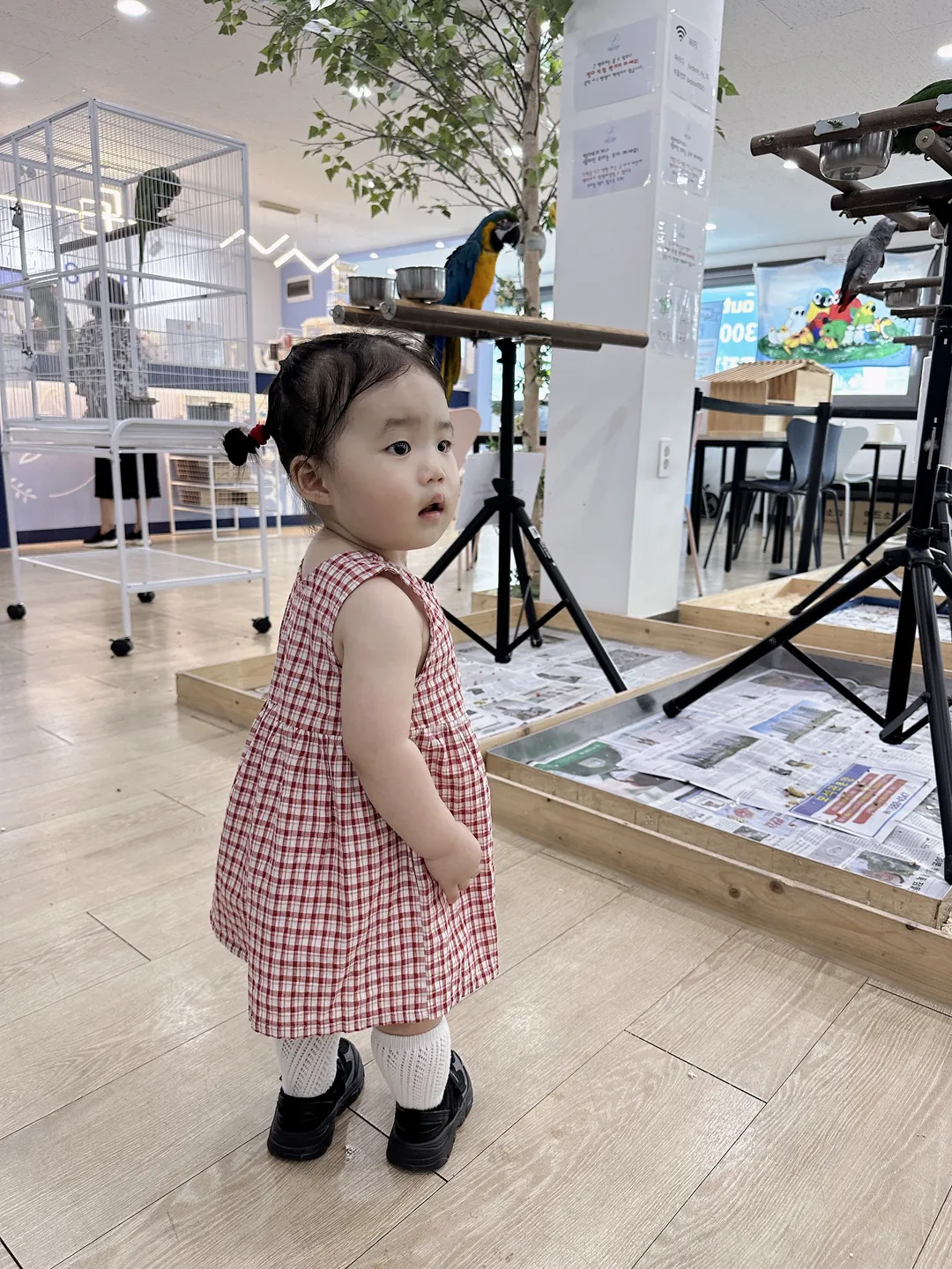 Bird Sound Namyangju Branch photo 6