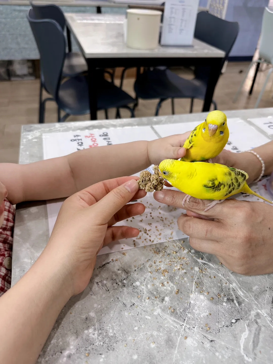 Bird Sound Namyangju Branch photo 8