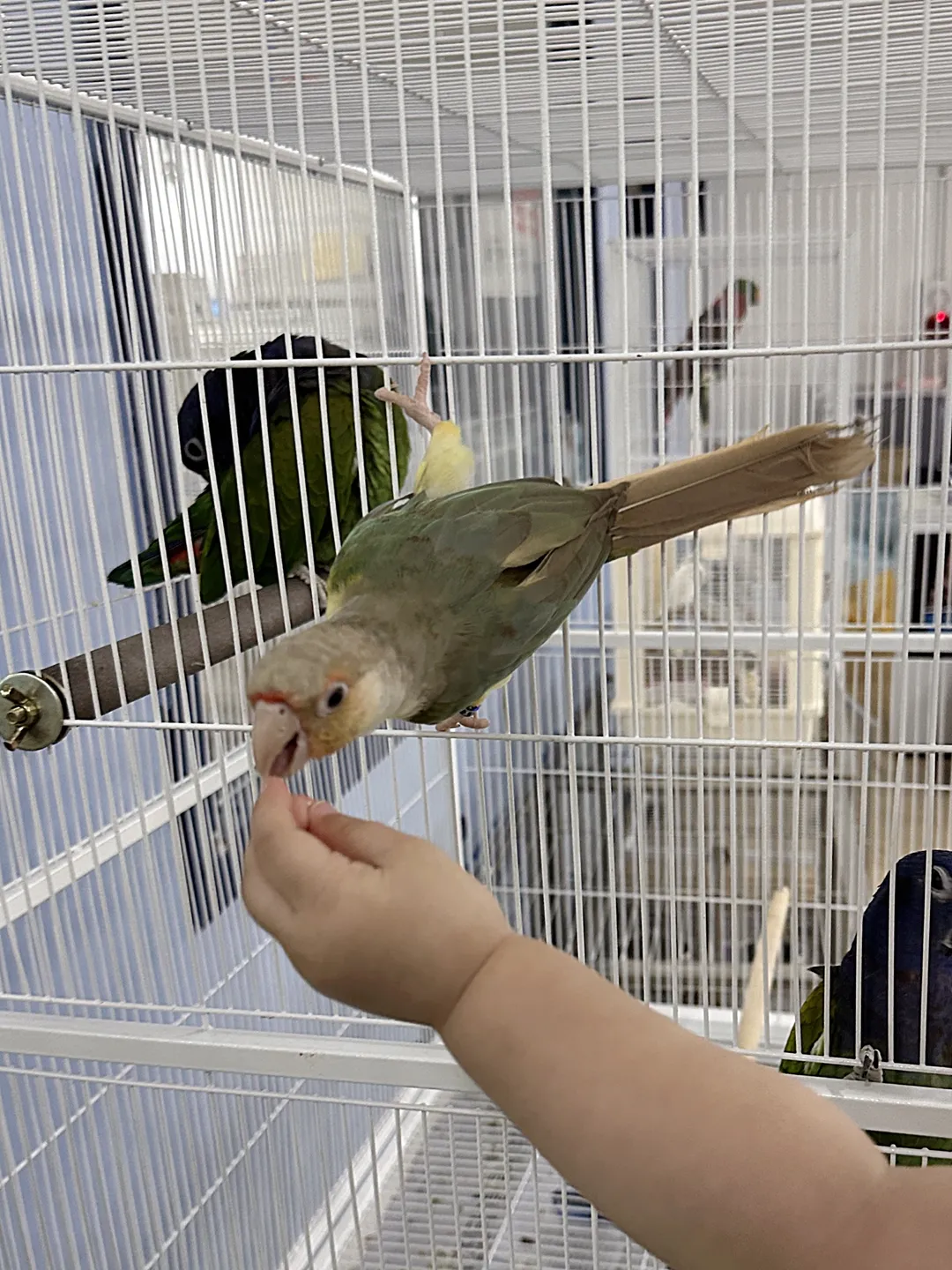 Bird Sound Namyangju Branch photo 9