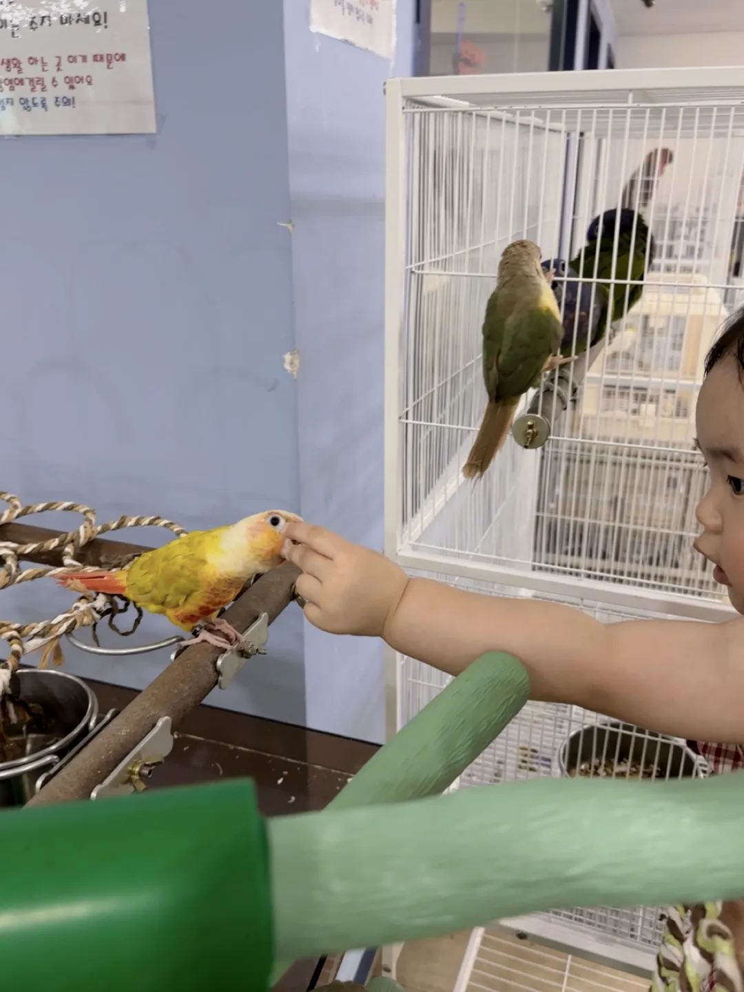 Bird Sound Namyangju Branch photo 11