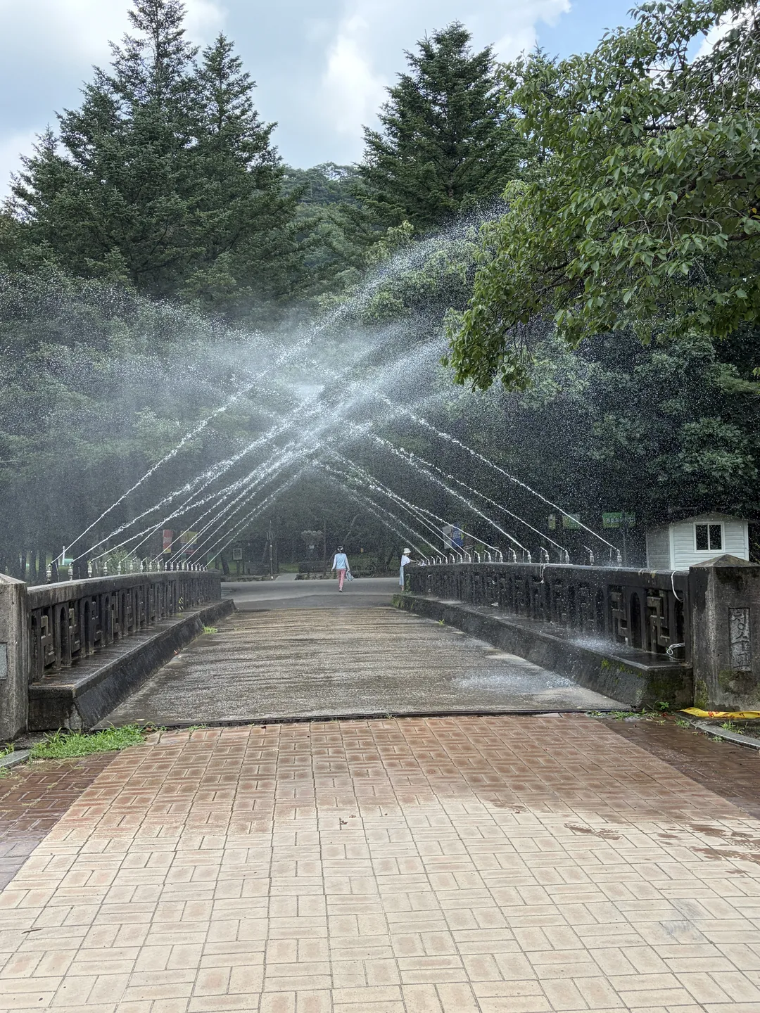 속리산 법주사 사진 14
