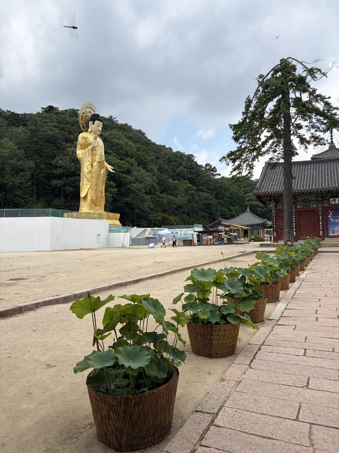 속리산 법주사 사진 11