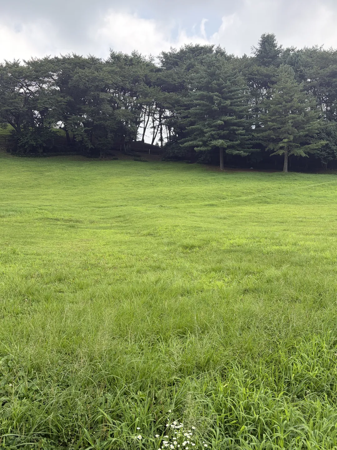 상당산성 사진 9