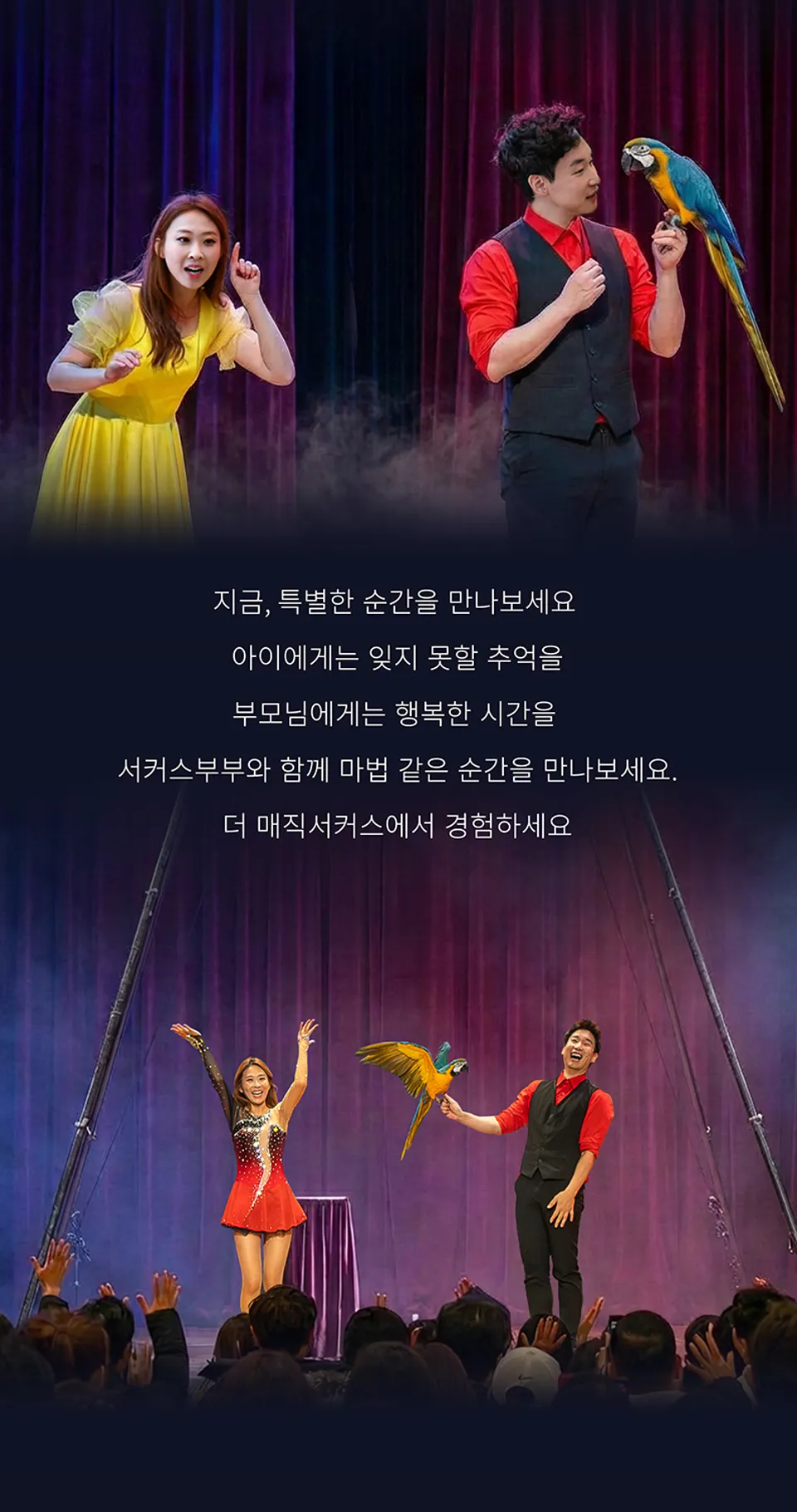 <공연> 더:매직서커스 - 서울 (26/10/31 ~ 26/11/01) 사진 11