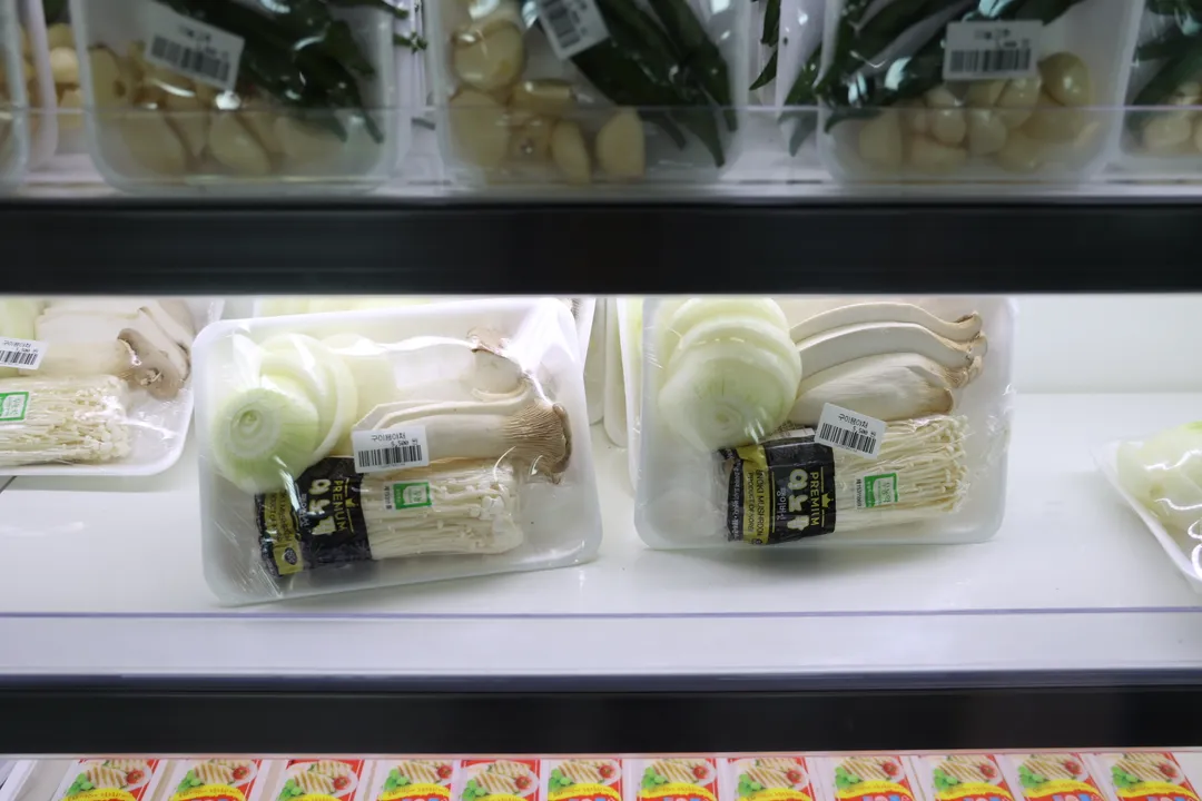 アマゾンアクアパークタンジン 写真 31