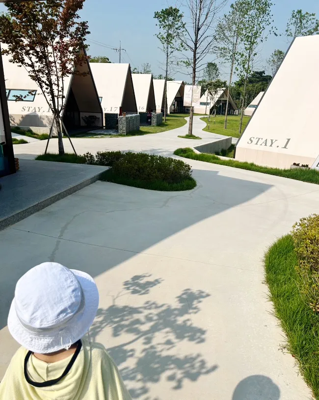 아마존스테이 사진 17