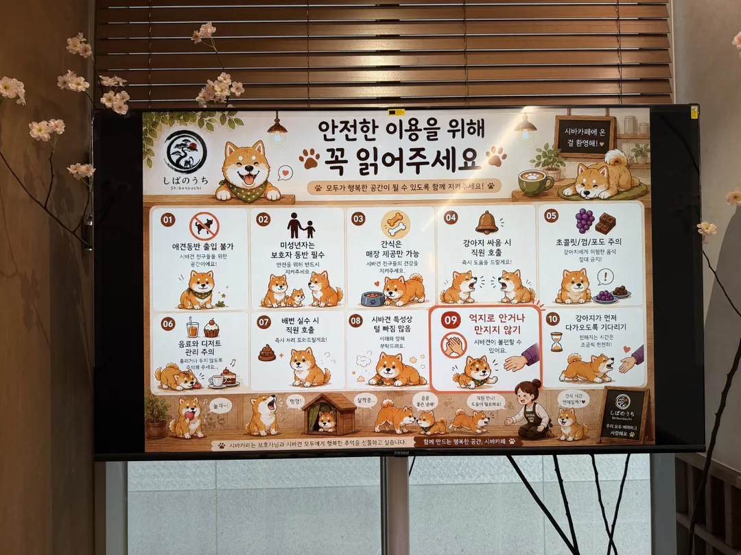 시바노우치 사진 18