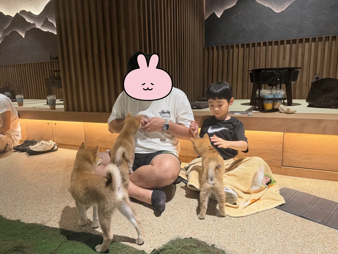 시바노우치 사진 14