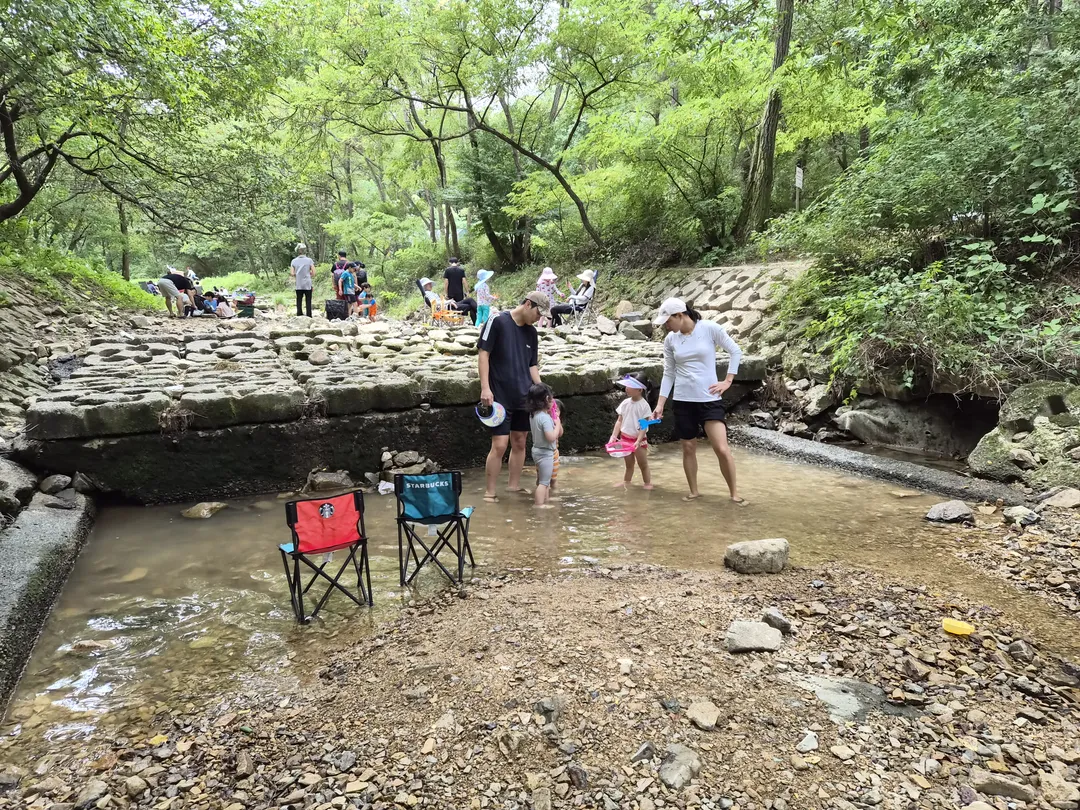 계양산목상동솔밭