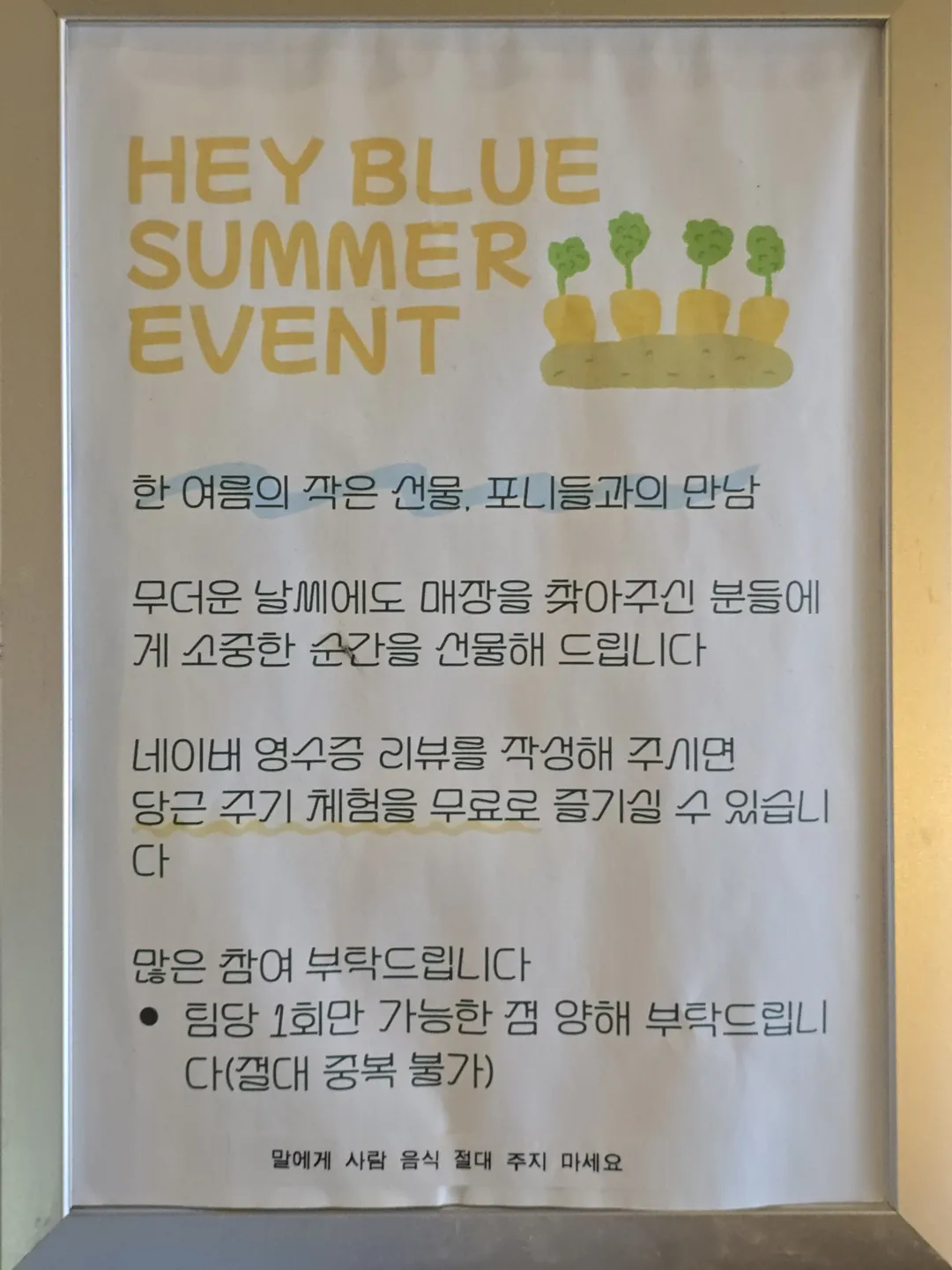 헤이블루 사진 23